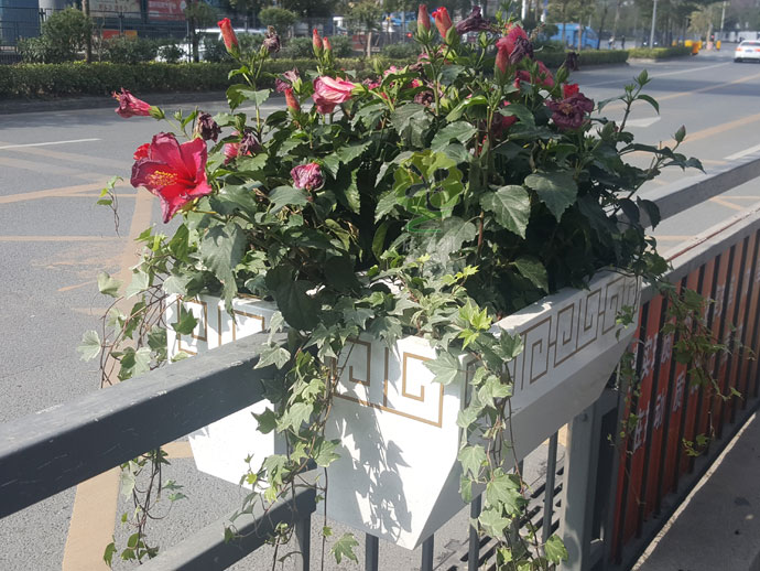 栏杆壁挂金属花箱-道路护栏景观花箱
