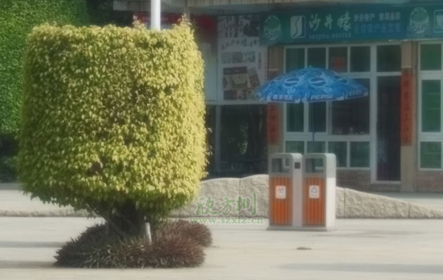 户外景区钢木分类垃圾桶应用摆放图